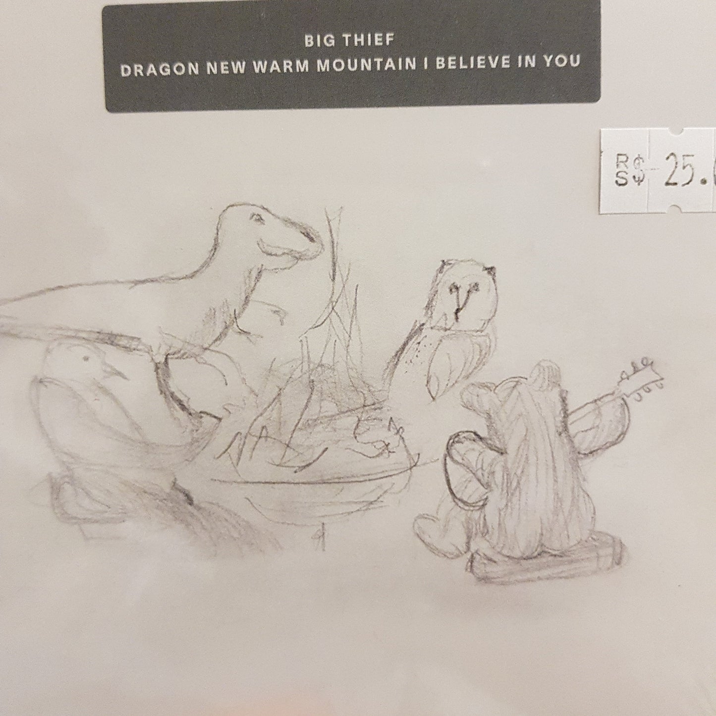 BIG THIEF - DRAGON NEW WARM MOUNTAIN I BELIEVE IN YOU CD