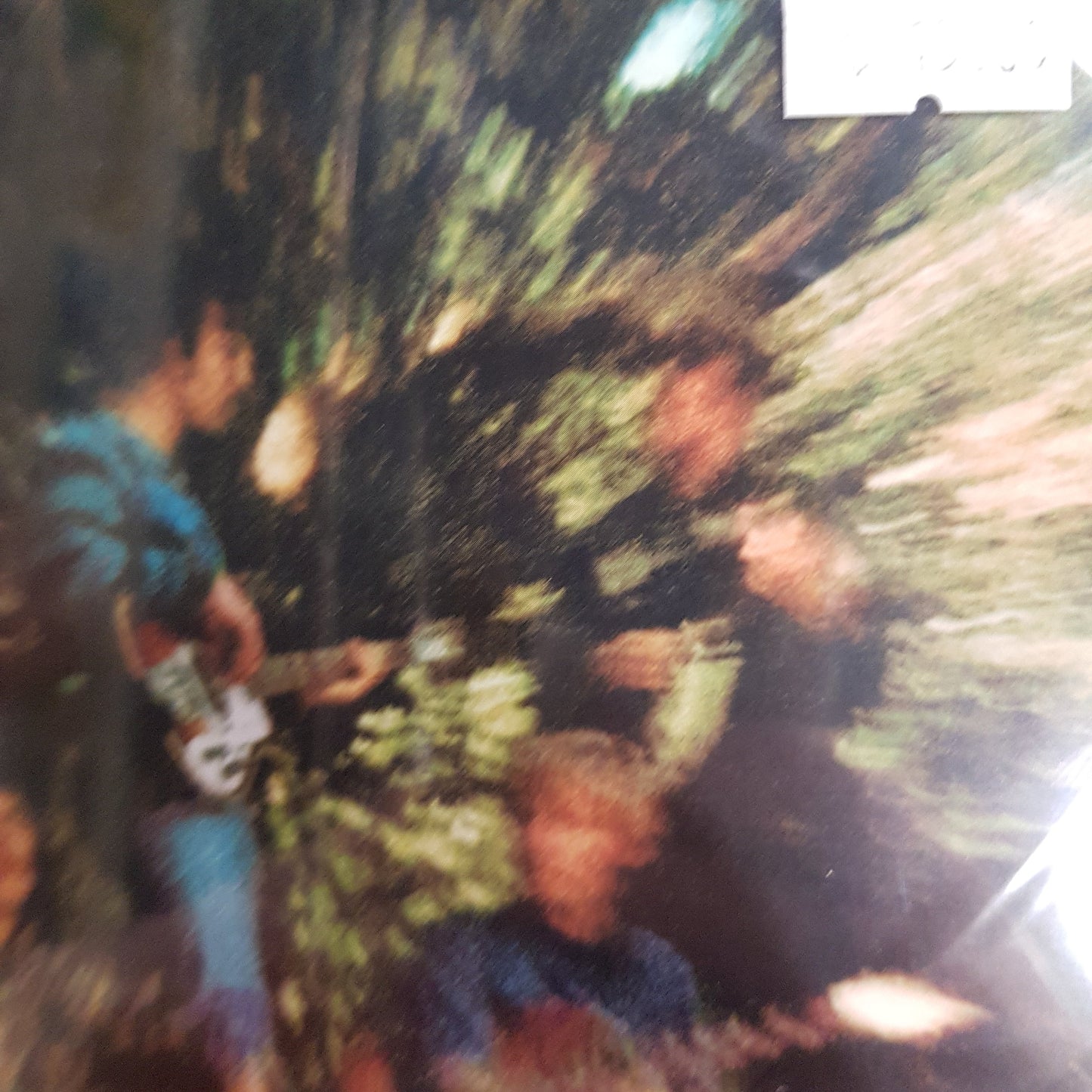 CREEDENCE CLEARWATER REVIVAL- BAYOU COUNTRY CD