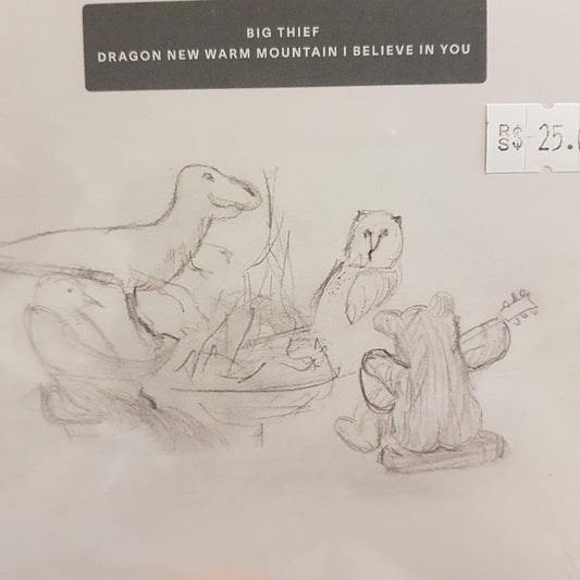 BIG THIEF - DRAGON NEW WARM MOUNTAIN I BELIEVE IN YOU CD