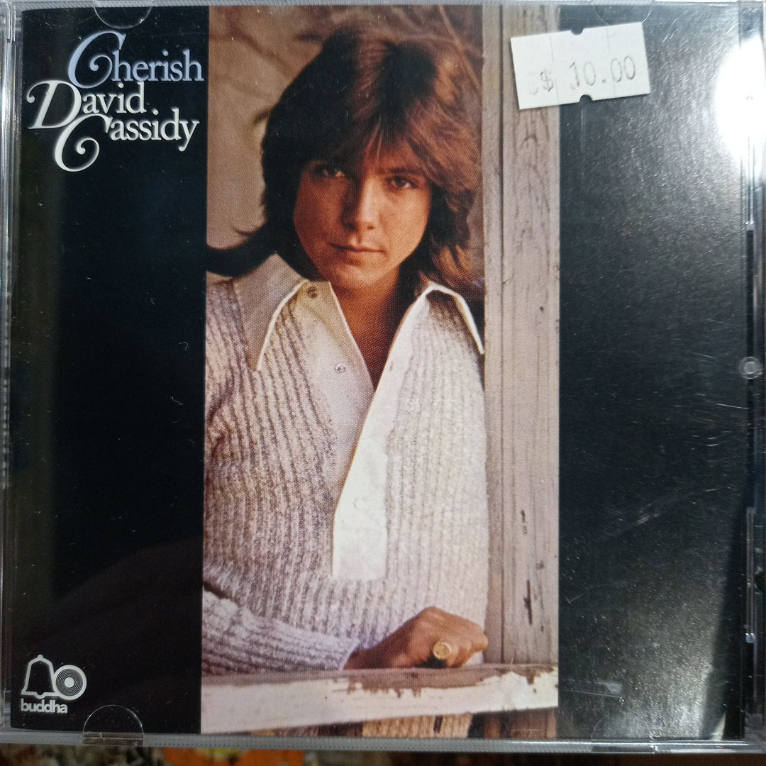 DAVID CASSIDY - CHERISH (USED CD)