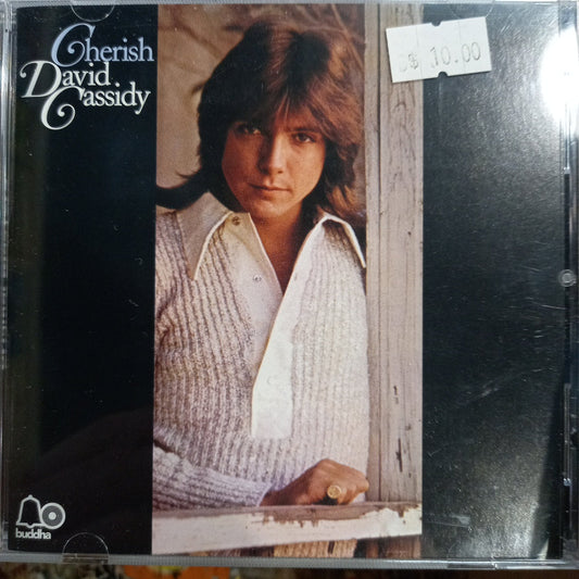 DAVID CASSIDY - CHERISH (USED CD)