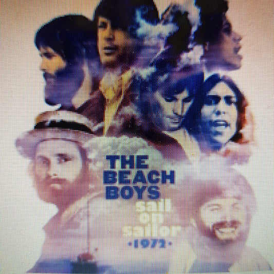 BEACH BOYS - SAIL ON SAILOR (2CD) SET