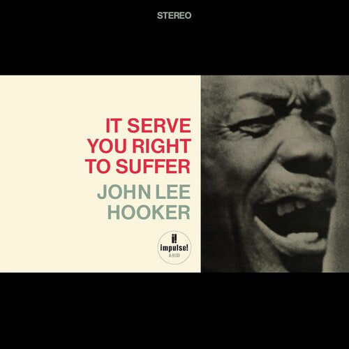 John Lee Hooker: It Serve You Right To Suffer (Verve Acoustic Sounds Series)