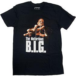 Biggie - Reachstrings