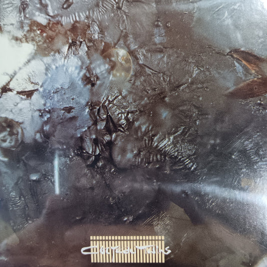 COCTEAU TWINS - HEAD OVER HEELS CD